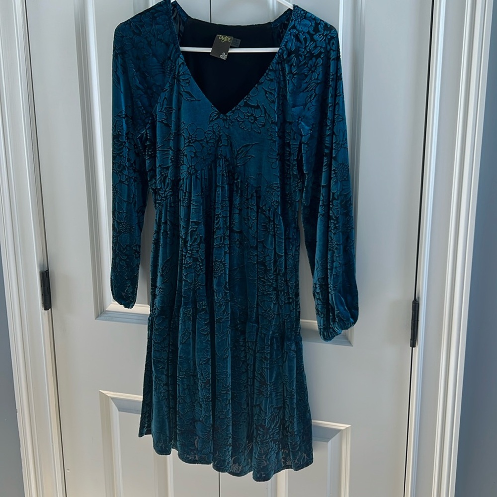 Taylor, soft velvet, size 6, green dress